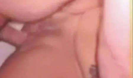 - The Fox desi sexy video hd rebecca
